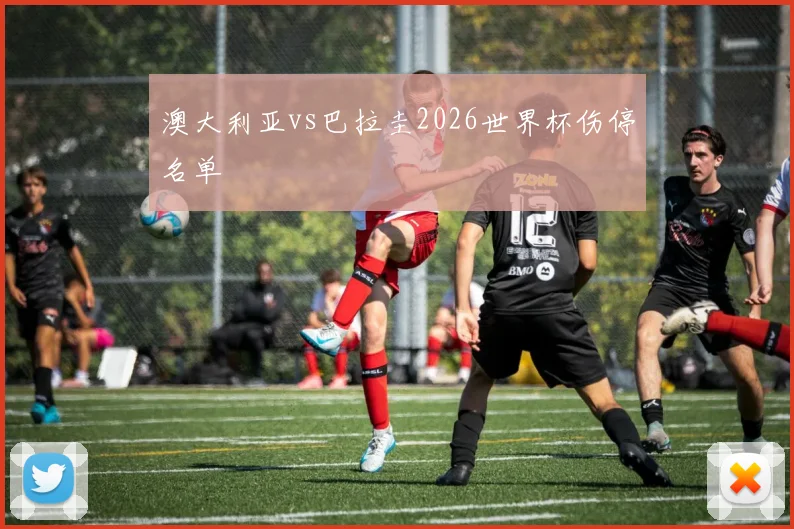 澳大利亚vs巴拉圭2026世界杯伤停名单