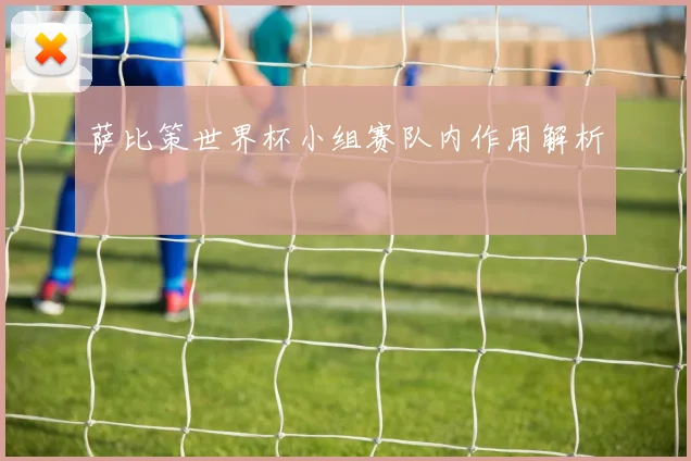 萨比策世界杯小组赛队内作用解析